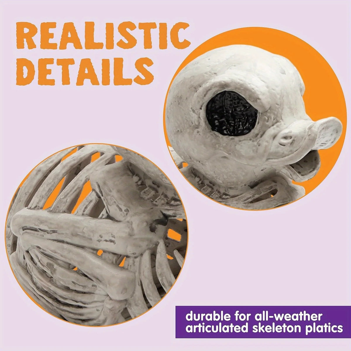Close-up of the skeleton duck's sculpted skull and wing bones
